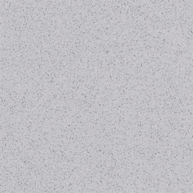 Raw Concrete Gray